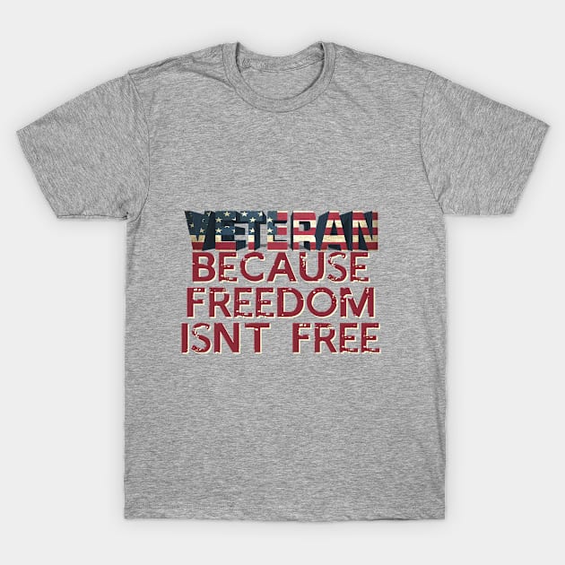 Veteran 1 T-Shirt by ginibrd